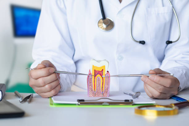Best Emergency Dentist for Knocked-Out Tooth in Chester, MD